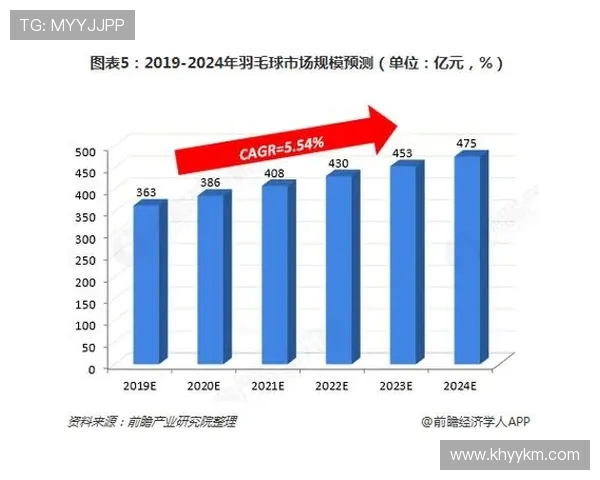 北京羽毛球队配合策略分析与实战应用探讨