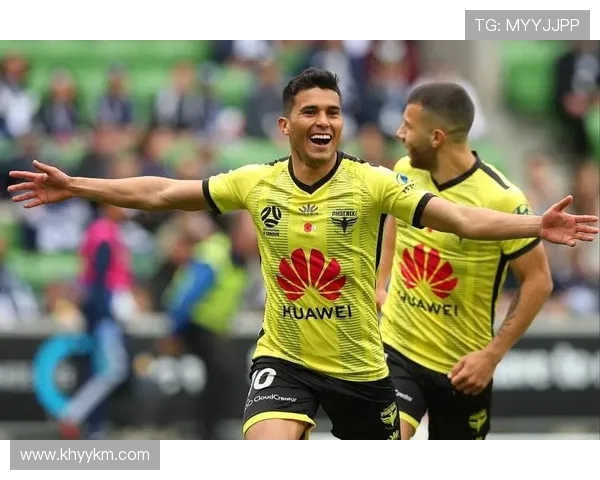 2019年布里斯狮与惠灵顿精彩对决回顾与分析