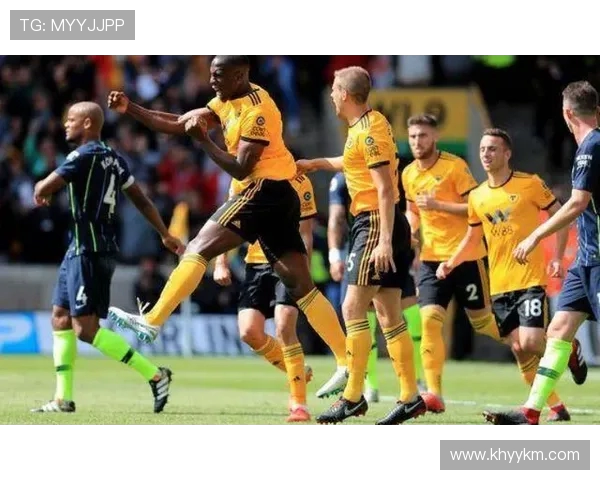 威科姆与哈德斯的对决分析及胜负预测全解析