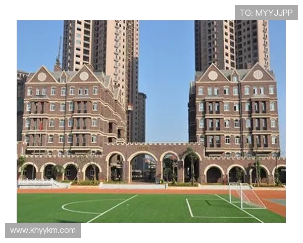 上海飞盘队阵地战分析：优劣势与未来发展方向探讨